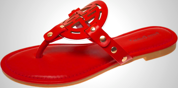 Pierre Dumas Women's Limit-20 Sandal - Comfortable Flip-Flops in Multiple Colors