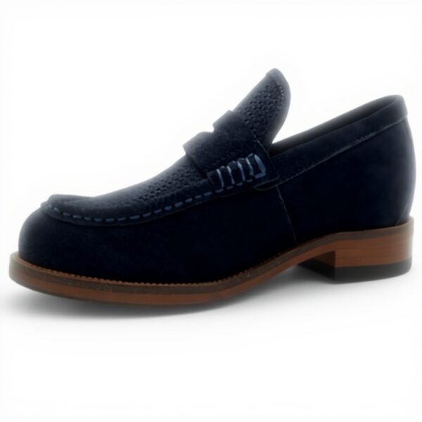 Mens Loafers Aldo Legolas Leather Slip On Shoes