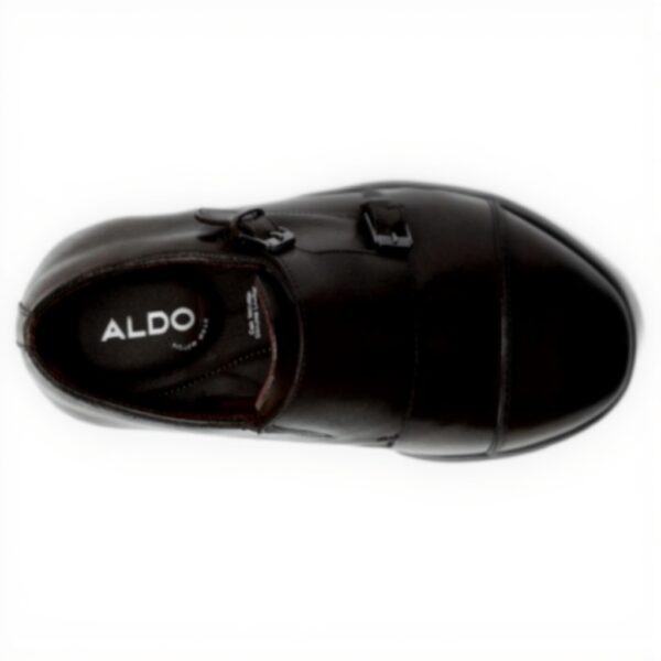 ALDO Mens Zigof Monk Strap Loafer Dark Brown Casual Shoes