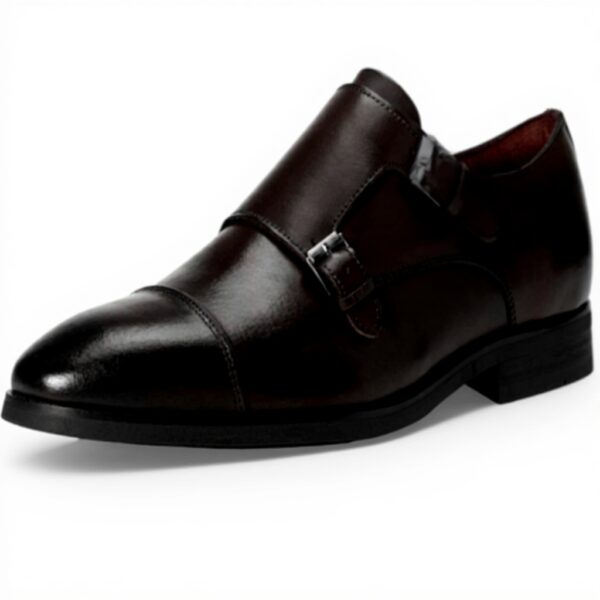 ALDO Mens Zigof Monk Strap Loafer Dark Brown Casual Shoes